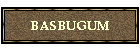 BASBUGUM